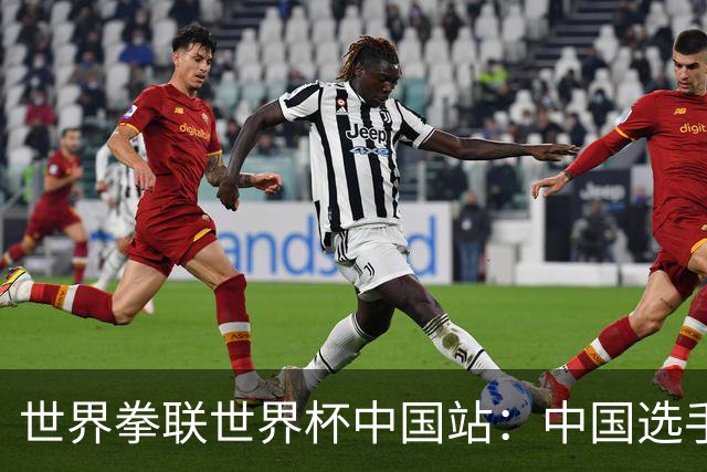 世界拳联世界杯中国站：中国选手斩获5金